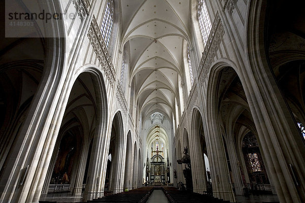 Gotische Liebfrauenkathedrale  Kirchenschiff  Antwerpen  Belgien