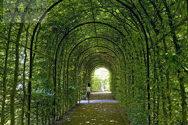 Schloss Moyland  Pergola im Schlossgarten  Bedburg Hau  Kleve  NRW  Deutschland