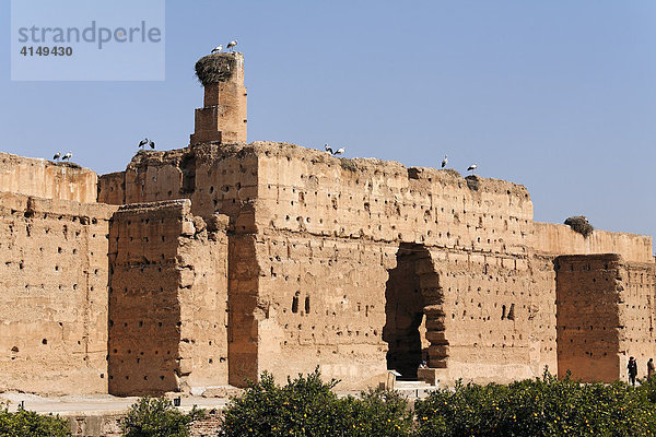 Ruinen mit Weißstörchen  Palais el-Badi Marrakesch  Marokko  Afrika