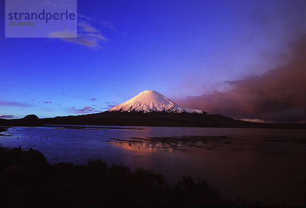 Vulkan Parinacota und Lago Chungara  Lauca Nationalpark  Chile  Südamerika