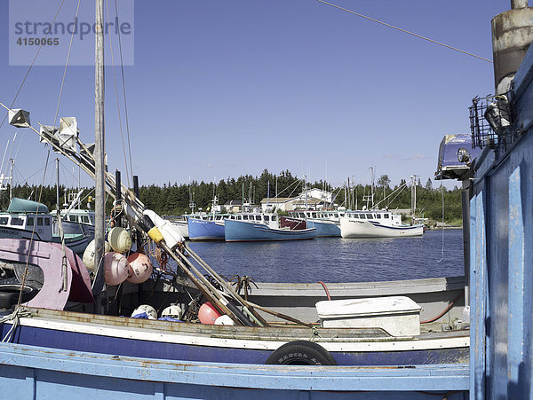 Boote im Hafen von Ingomar  Nova Scotia  Kanada