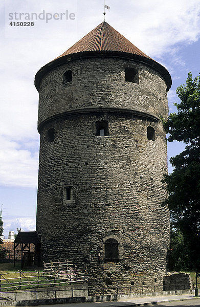 Kanonenturm Kiek in de Kök  Tallinn  Estland