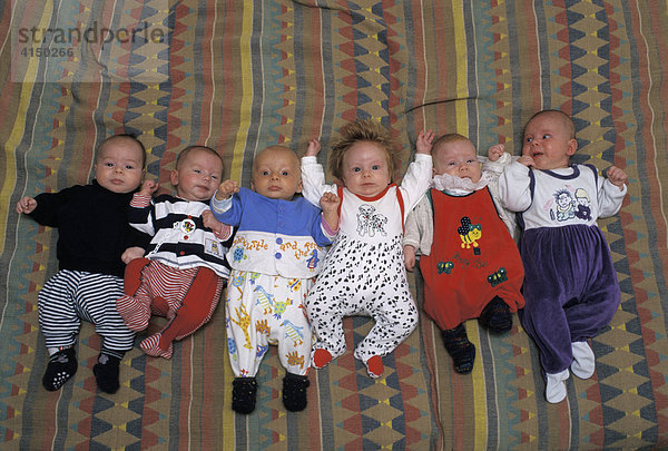 Sechs zwei bis drei Monate alte Babies liegen in der Reihe