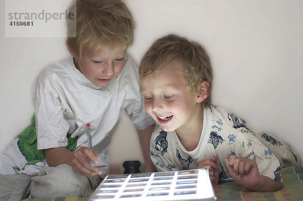 Zwei kleine Jungen suchen Bilder aus auf Lichttisch