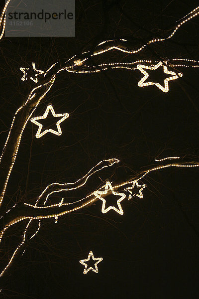 Weihnachtsbeleuchtung in einem Baum