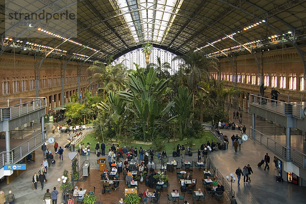 Tropischer Garten in der alten Bahnhofshalle des Bahnhofs Atocha  Madrid  Spanien