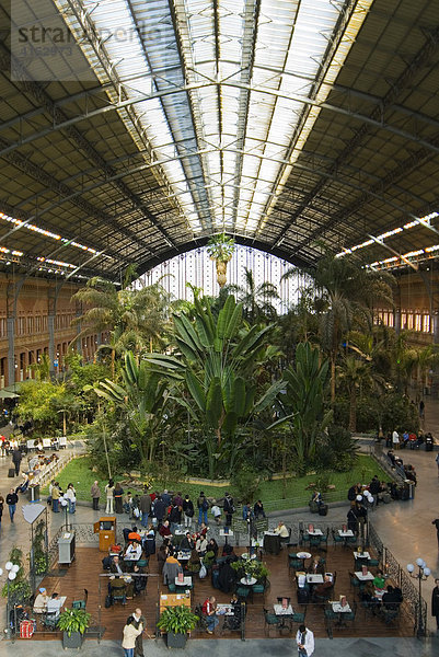 Tropischer Garten in der alten Bahnhofshalle des Bahnhofs Atocha  Madrid  Spanien