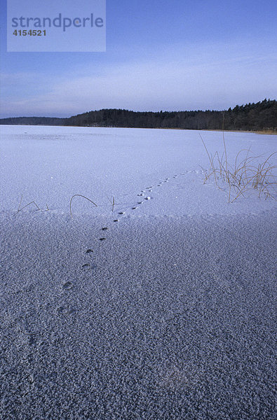 Spuren im Schnee auf einem zugefrorenen See