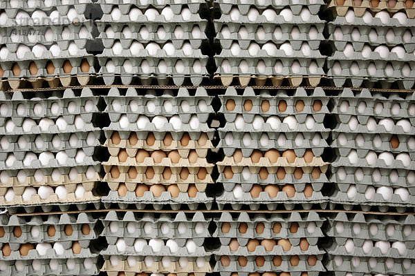 Eierkartonstapel mit Eiern