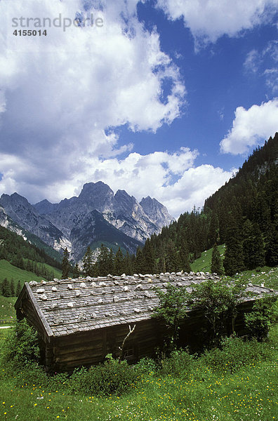 Bindalm  Mühlsturzhorn  Nationalpark Berchtesgaden  Berchtesgadener Alpen  Oberbayern