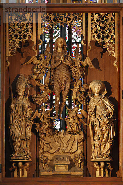 Magdalenen-Altar von Tilman Riemenschneider  Riemenschneideraltar  Stadtpfarrkirche St. Maria Magdalena  Münnerstadt  Rhön  Unterfranken  Bayern  Deutschland  Europa