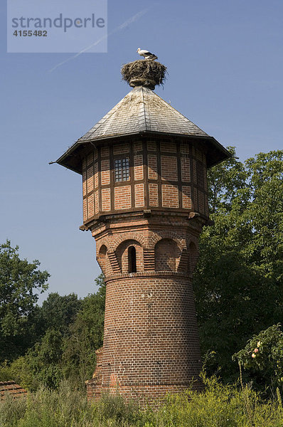 Weißstorch (Ciconia ciconia) auf Wasserturm  Rühstädt  Deutschland