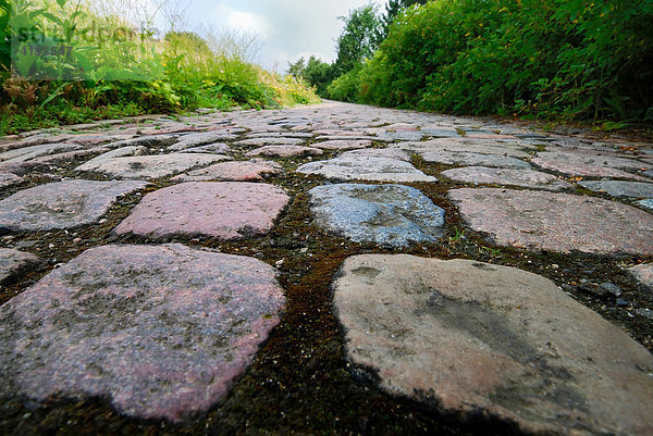 Kopfsteinpflasterweg  Kiel  Schleswig-Holstein  Deutschland