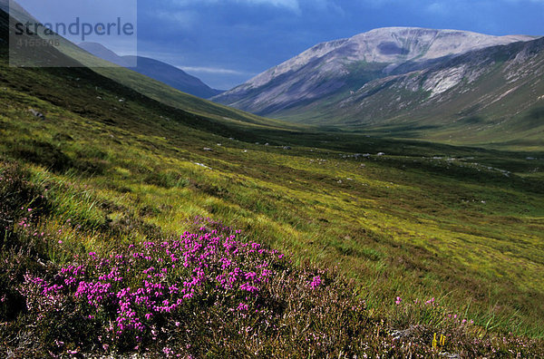 Blick über das Tal Lairig Ghru auf den Ben Macdhui (mit 1309 m über NN zweithöchster Berg Schottlands bzw. Großbritanniens)  Cairngorm Mountains  Highlands  Schottland  Großbritannien