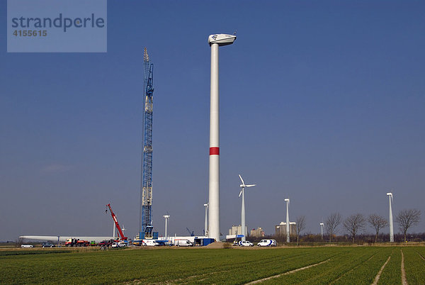 Repowering eines Windparks – Ersetzen der alten Anlagen durch leistungsfähigere neue WEA  Husum  Nordfriesland  Schleswig-Holstein  Deutschland  Europa