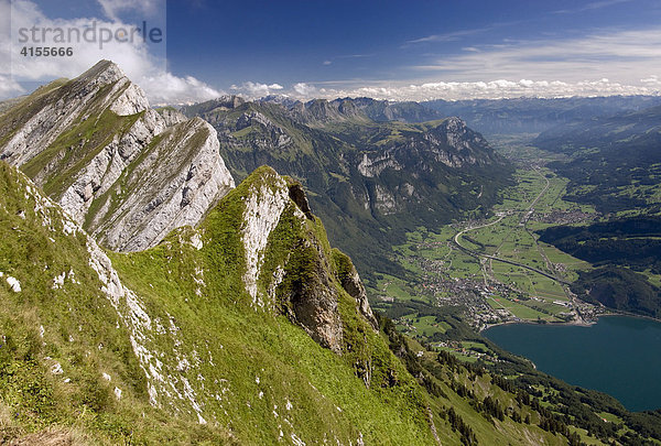 Blick vom einem Gipfel der Kurfürsten-Bergkette auf Walenstadt und das Tal der Seez  Alpen  Schweiz