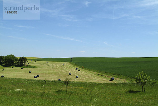 Landschaft mit gruenen Feldern  eines ist gemaeht. Heu in schwarzen Platikrollen