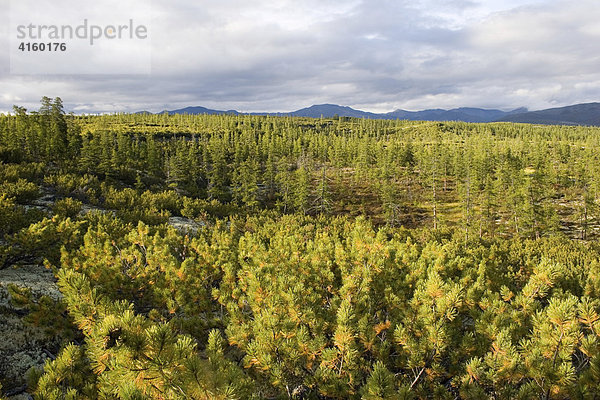 Nationalpark Jack London See  Magadan Gebiet  Ostsibirien  Russland