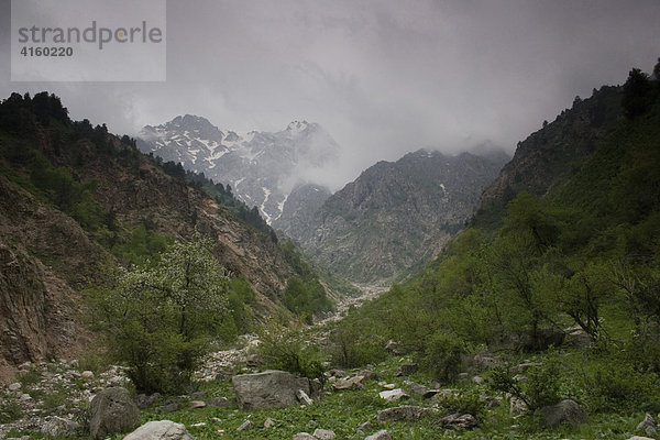 Provinz Tchimgan  Tschatkalski Chrebet (Bergrücken)  Usbekistan