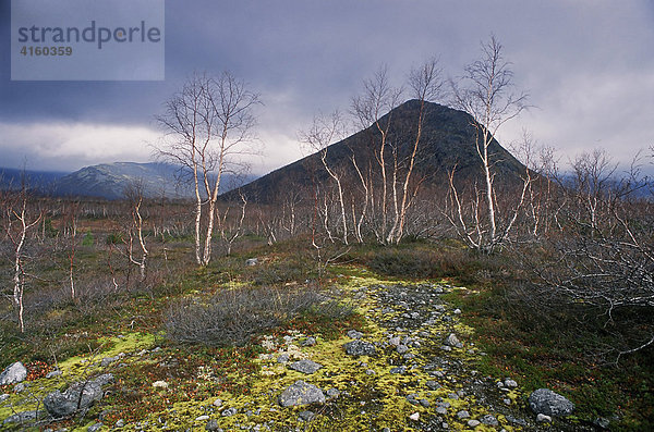 Chibiny-Massiv auf der russischen Halbinsel Kola  Murmansk-Gebiet  Russland