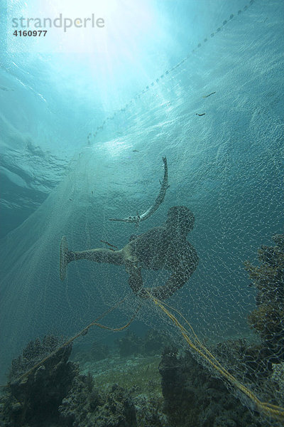 Fischer fangen mit einem Netz Hornhechte  Philippinen