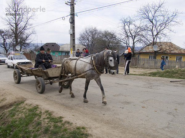 Pferdefuhrwerk  Gulia  Rumänien