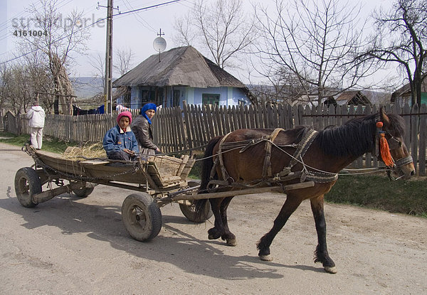 Pferdefuhrwerk  Gulia  Rumänien