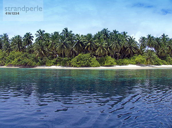 Mit Palmen bewachsene Insel  Malediven