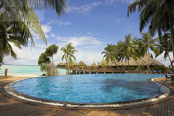 Swimming pool at Vilureef Resort  Maledives