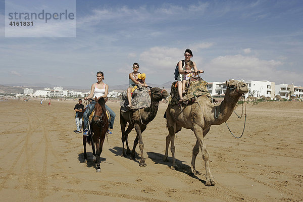 Touristen reiten auf Kamelen am Strand von Agadir  Marokko  Afrika