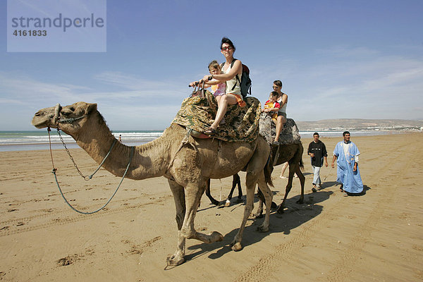 Touristen reiten auf Kamelen am Strand von Agadir  Marokko  Afrika