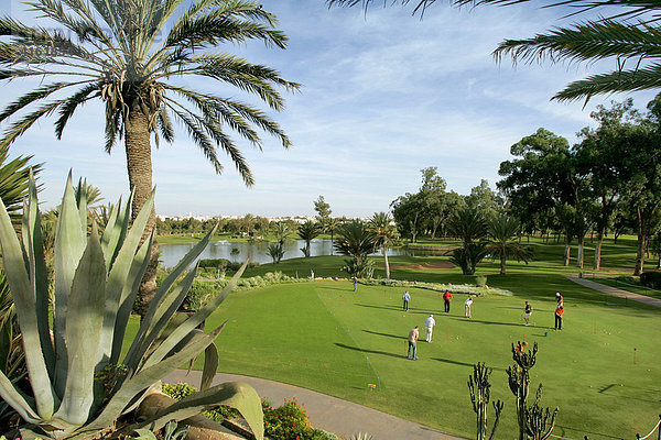 Golfer auf dem Golfplatz du solei  Agadir  Marokko  Afrika