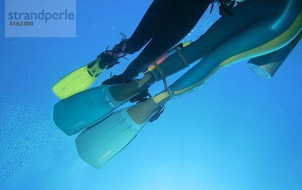 Taucher im Roten Meer  Aegypten.