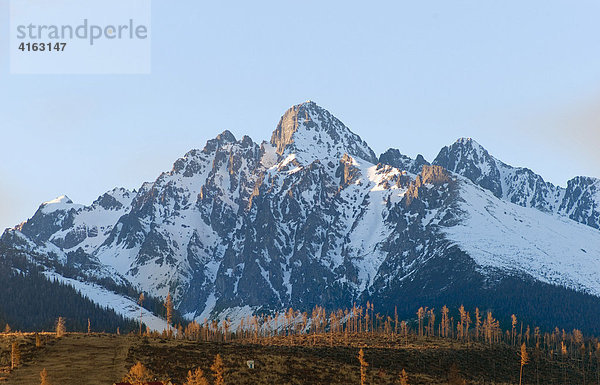 Karpaten  Hohe Tatra in der Gegend von Tatranská Lomnica  hinten die Bergstation Lomnický ötít (deutsch Lomnitzer Spitze)  Slowakei