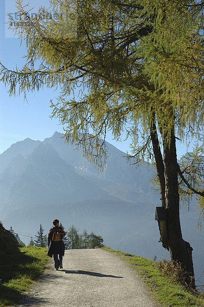 Alpenlandschaft im Nationalpark Berchtesgaden