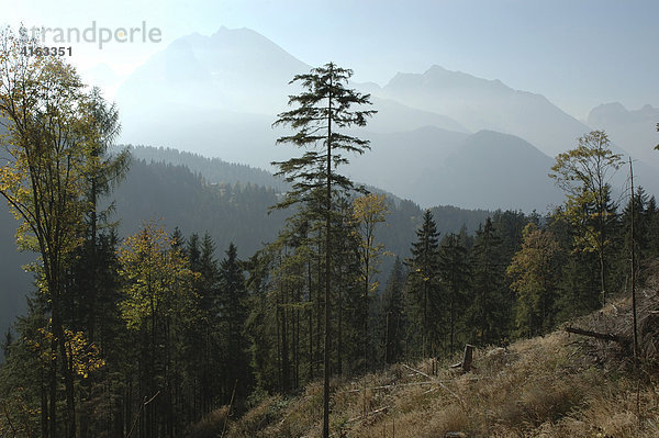 Alpenlandschaft im Nationalpark Berchtesgaden