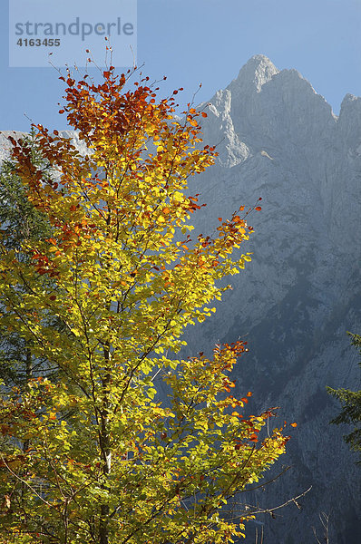 Herbststimmung im Nationalpark Berchtesgaden  Bayern