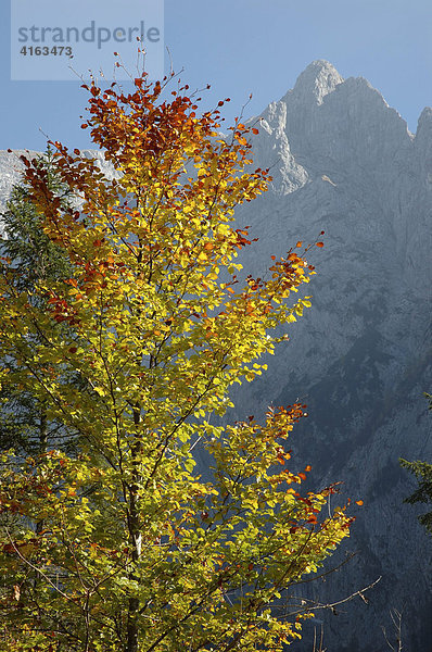 Alpenlandschaft im Nationalpark Berchtesgaden  Bayern