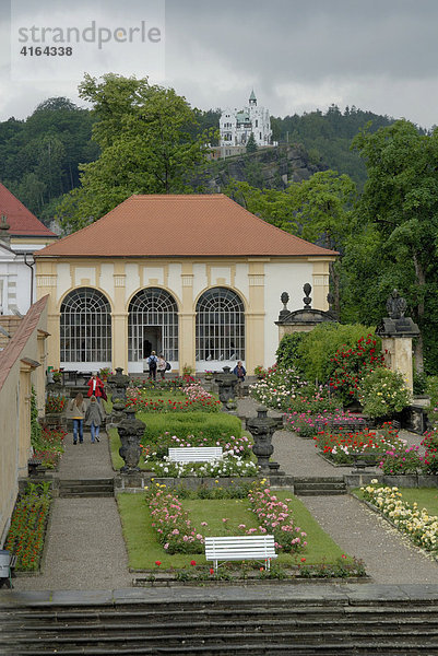 Rosengarten am Schloss Decin  Decin  Böhmen  Tschechische Republik