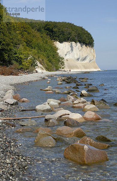 Kreideküste  Nationalpark Jasmund  Rügen  Mecklenburg-Vorpommern  Deutschland