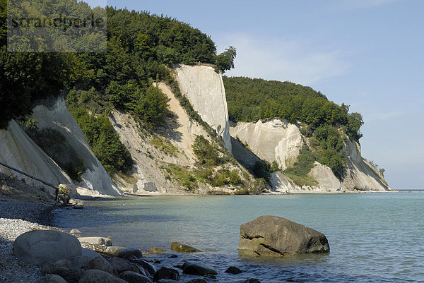 Kreideküste  Nationalpark Jasmund  Rügen  Mecklenburg-Vorpommern  Deutschland