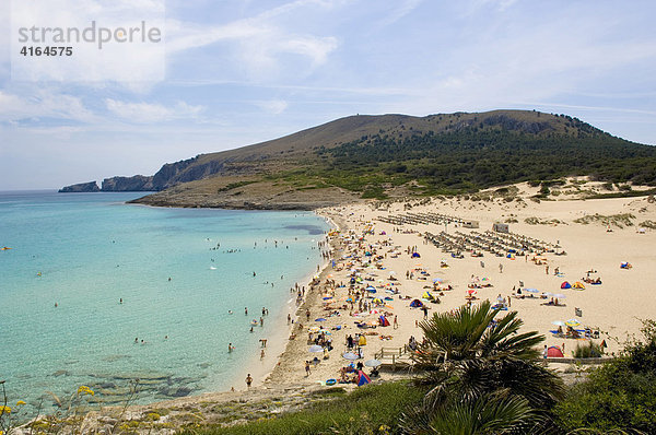 Strand Cala Mesquida  Mallorca  Spanien