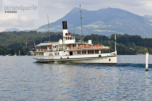 Historischer Schaufelraddampfer auf dem Vierwaldstätter See Luzern  Kanton Luzern  Schweiz