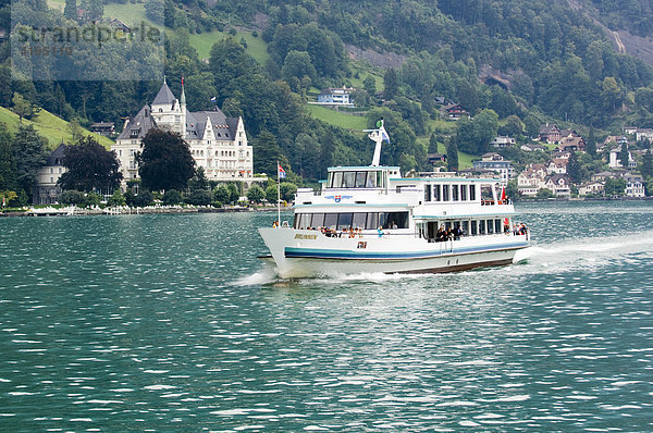 Touristenboot auf dem Vierwaldstätter See  Luzern  Kanton Luzern  Schweiz