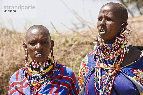 Massai  Massaifrauen in bunter Kleidung  Amboseli National Park  Kenia  Afrika