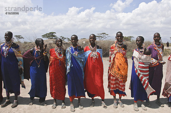 Massai  Massaifrauen beim traditionellen Tanz  Amboseli National Park  Kenia  Afrika