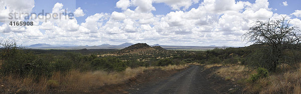 Landschaft in der Savanne  Masai Mara  Kenia  Afrika