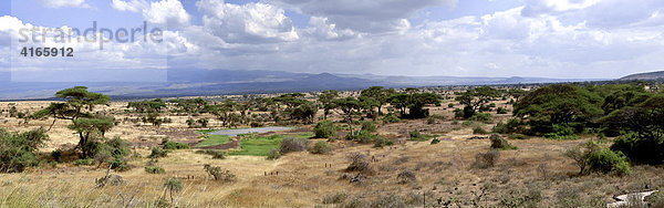 Landschaft mit Wasserloch im Amboseli Nationalpark  Kenia  Afrika