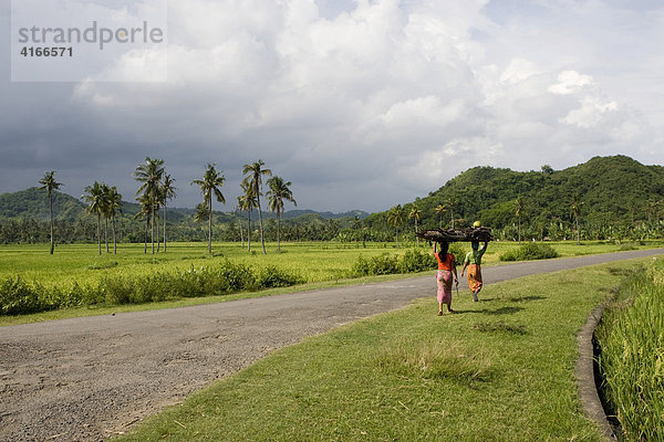 Bunt gekleidete Frauen tragen Reis auf Ihrem Kopf  hinten die Reisfelder  bei Biraq  Insel Lombok  Kleine-Sunda-Inseln  Indonesien