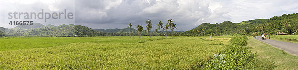 Großes Reisfeld bei Kuta  Insel Lombok  Kleine-Sunda-Inseln  Indonesien